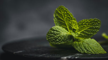 garnishing-instructions-image